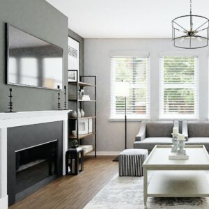 furnished living room