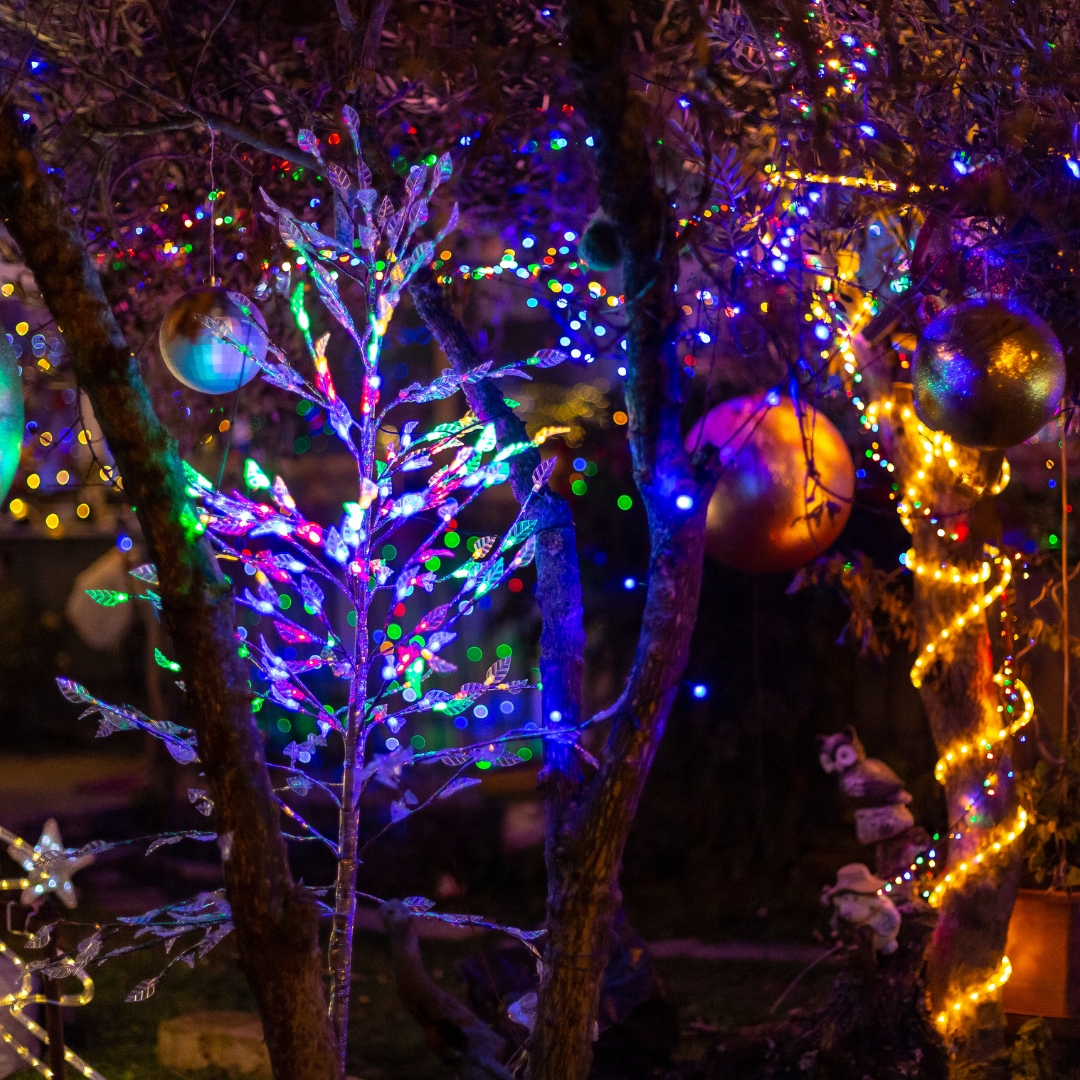 NoCo Winter Wonderland