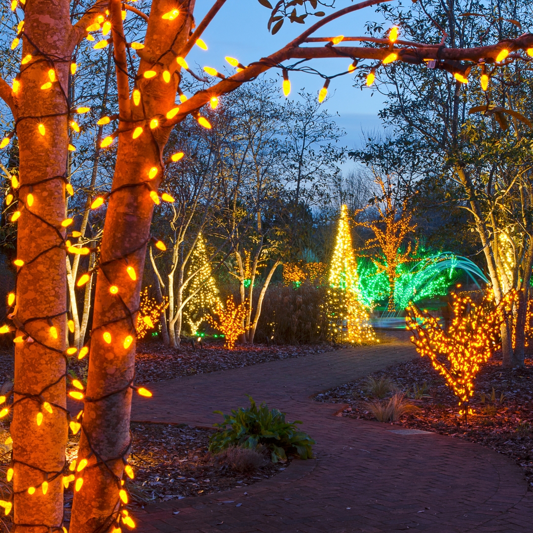 Denver Zoo Lights